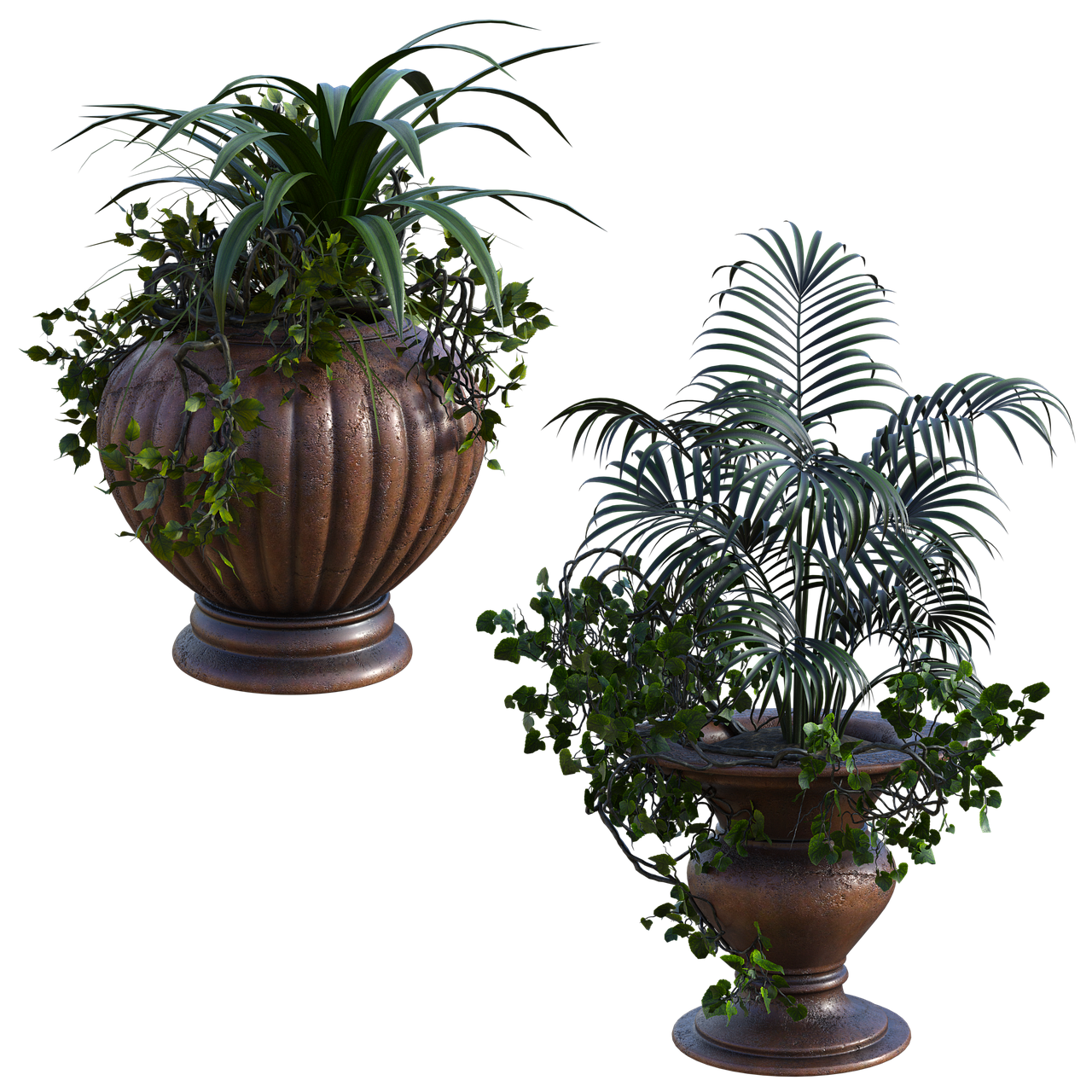 plantImage